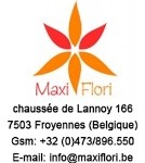 Maxi Flori Froyenne